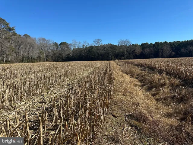 $149,000 | 0 Bivalve Lodge Road, Bivalve, MD 21814