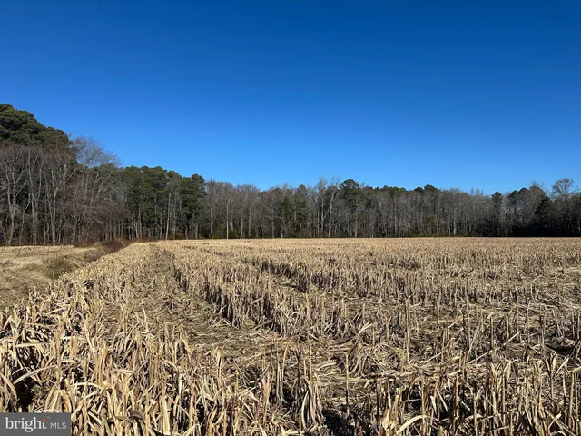 $149,000 | 0 Bivalve Lodge Road, Bivalve, MD 21814