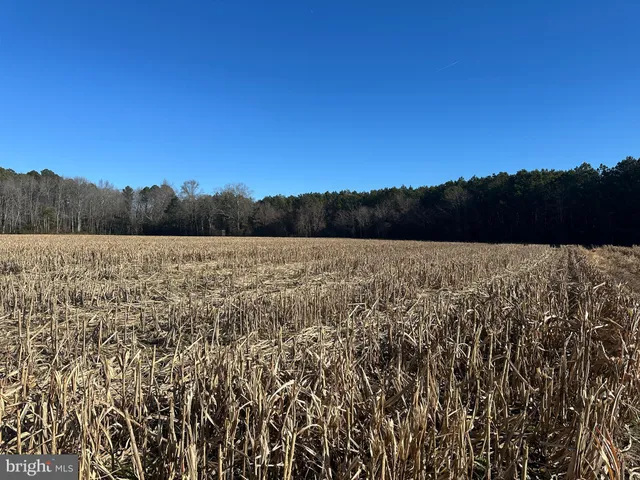 $149,000 | 0 Bivalve Lodge Road, Bivalve, MD 21814