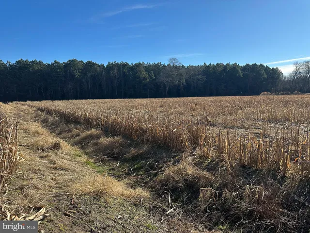 $149,000 | 0 Bivalve Lodge Road, Bivalve, MD 21814