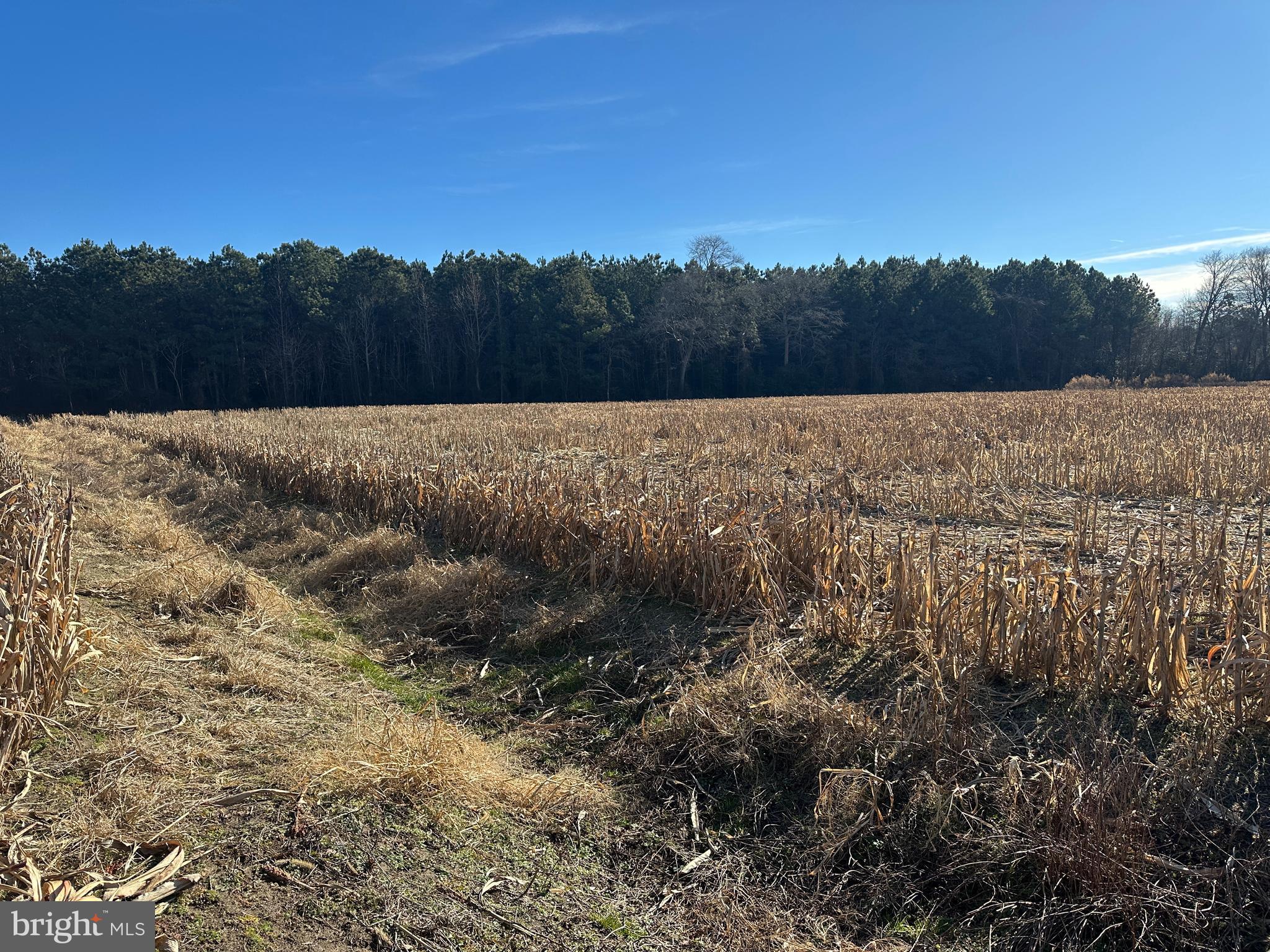 0 Bivalve Lodge Road Bivalve, MD 21814 - Photo 26 of 44