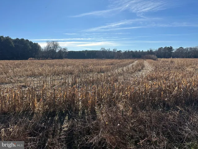 $149,000 | 0 Bivalve Lodge Road, Bivalve, MD 21814