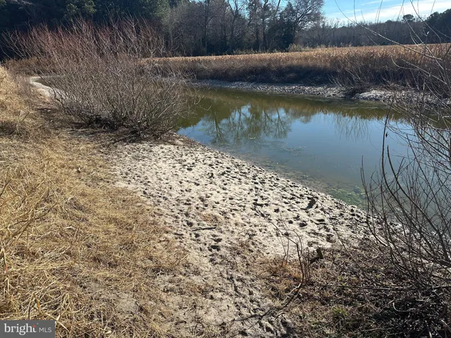 $149,000 | 0 Bivalve Lodge Road, Bivalve, MD 21814