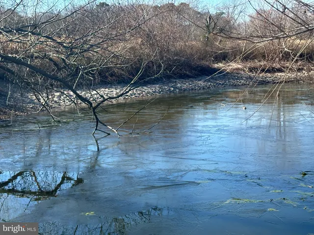 $149,000 | 0 Bivalve Lodge Road, Bivalve, MD 21814