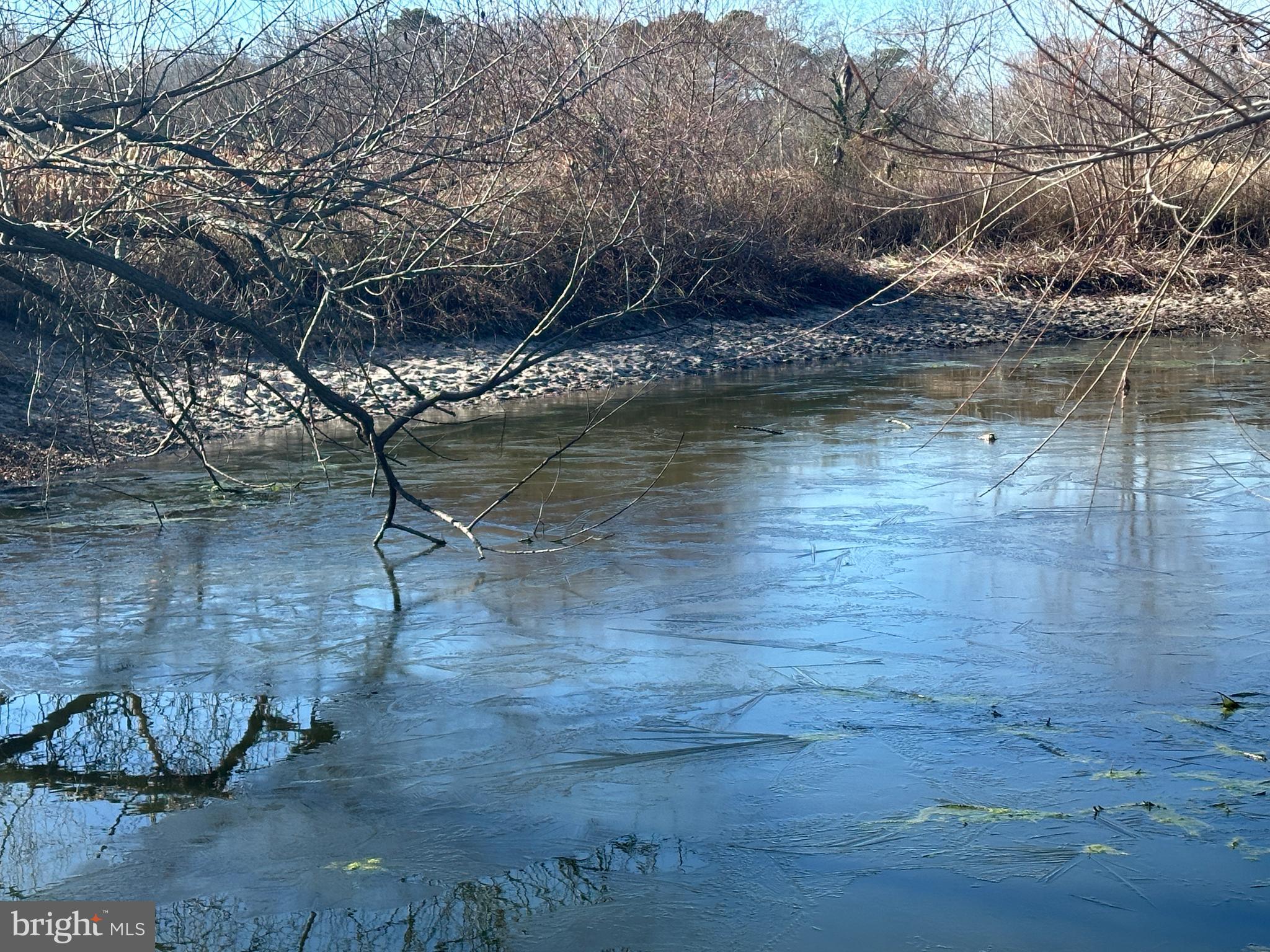 0 Bivalve Lodge Road Bivalve, MD 21814 - Photo 29 of 44