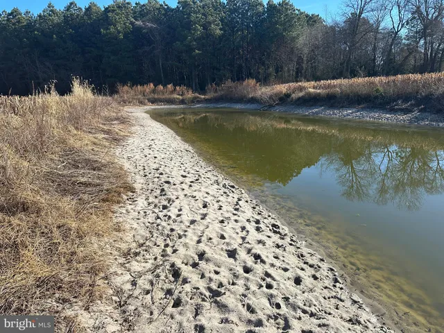 $149,000 | 0 Bivalve Lodge Road, Bivalve, MD 21814