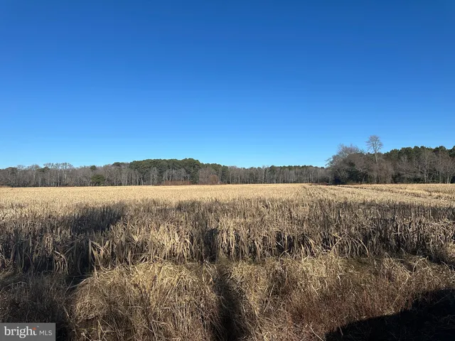 $149,000 | 0 Bivalve Lodge Road, Bivalve, MD 21814