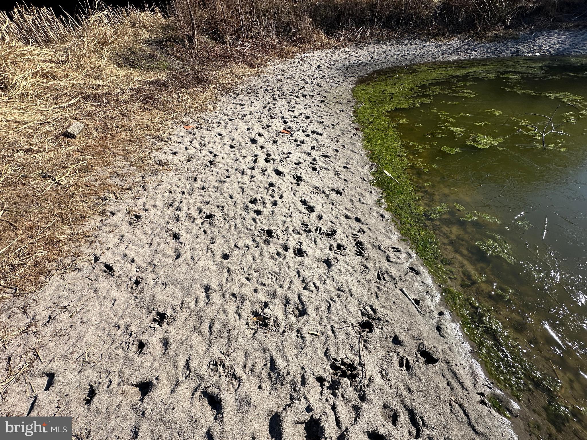 0 Bivalve Lodge Road Bivalve, MD 21814 - Photo 31 of 44