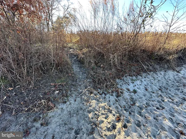 $149,000 | 0 Bivalve Lodge Road, Bivalve, MD 21814