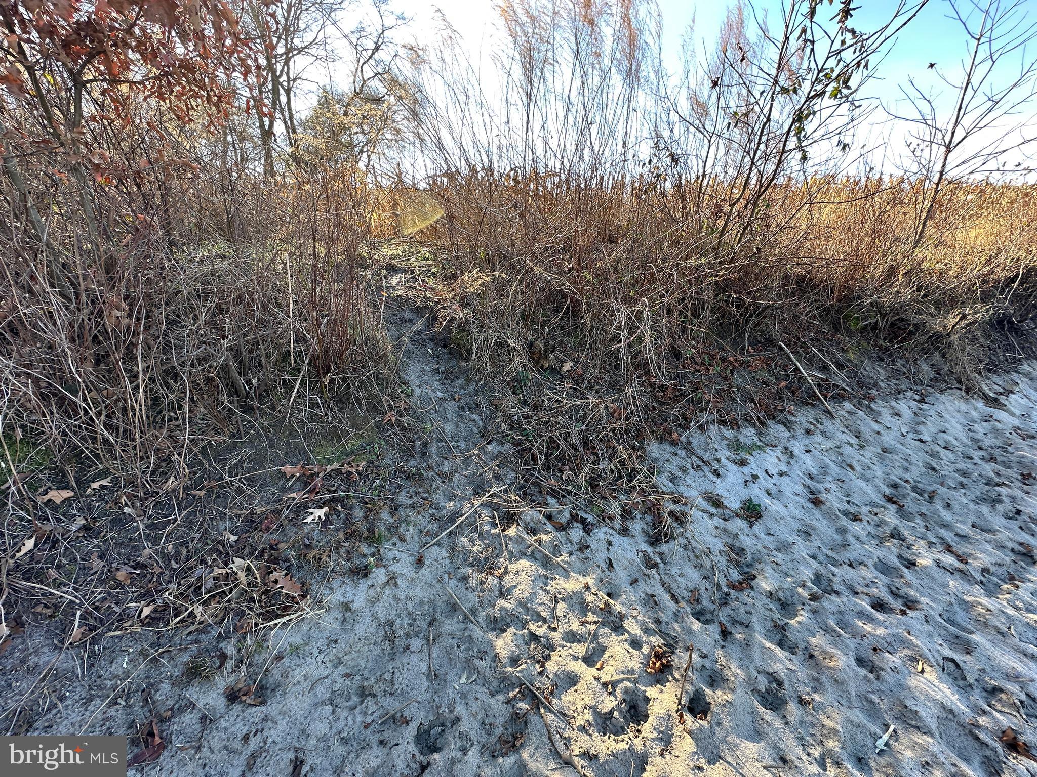 0 Bivalve Lodge Road Bivalve, MD 21814 - Photo 32 of 44