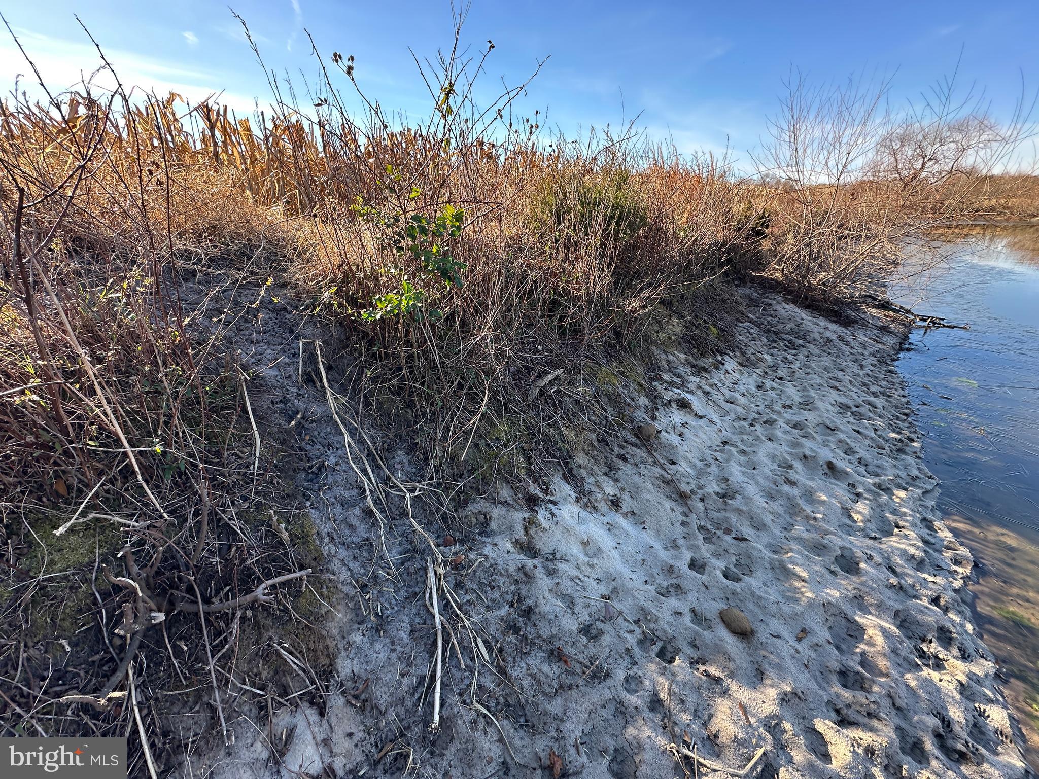 0 Bivalve Lodge Road Bivalve, MD 21814 - Photo 33 of 44