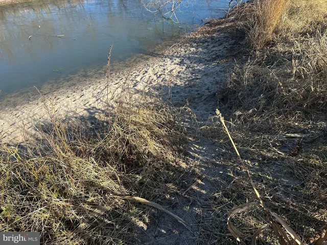 $149,000 | 0 Bivalve Lodge Road, Bivalve, MD 21814