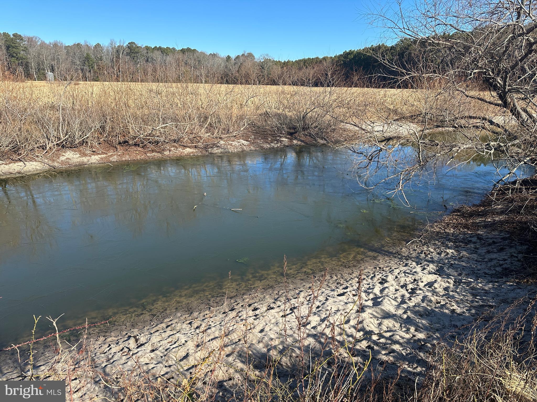 0 Bivalve Lodge Road Bivalve, MD 21814 - Photo 36 of 44