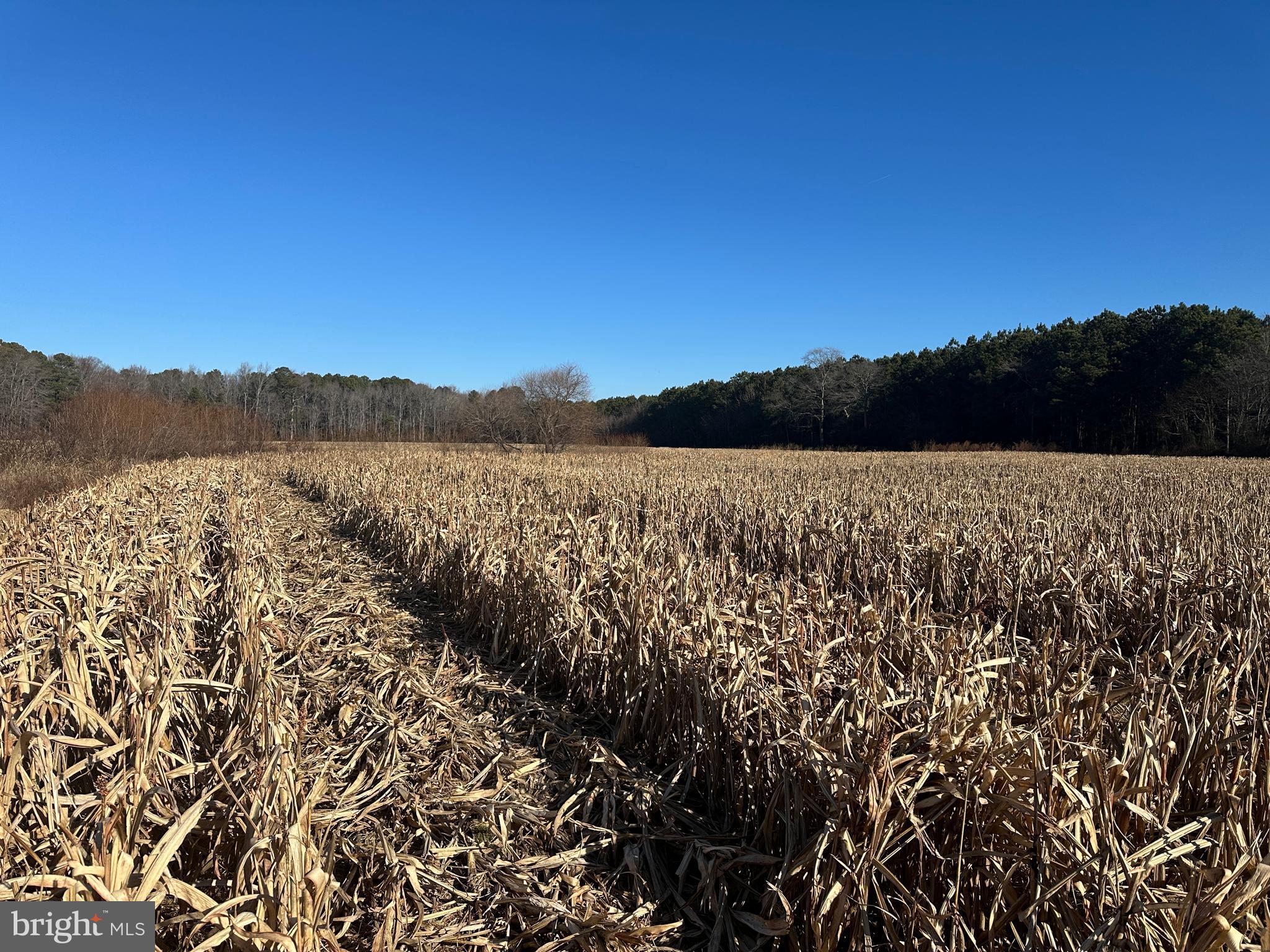 0 Bivalve Lodge Road Bivalve, MD 21814 - Photo 37 of 44