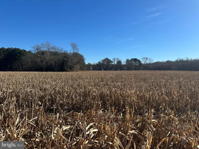 $149,000 | 0 Bivalve Lodge Road, Bivalve, MD 21814