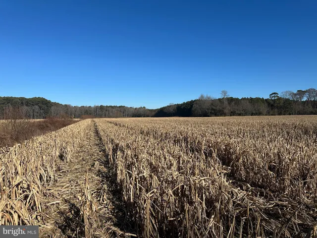 $149,000 | 0 Bivalve Lodge Road, Bivalve, MD 21814