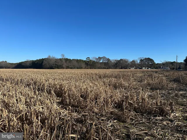 $149,000 | 0 Bivalve Lodge Road, Bivalve, MD 21814