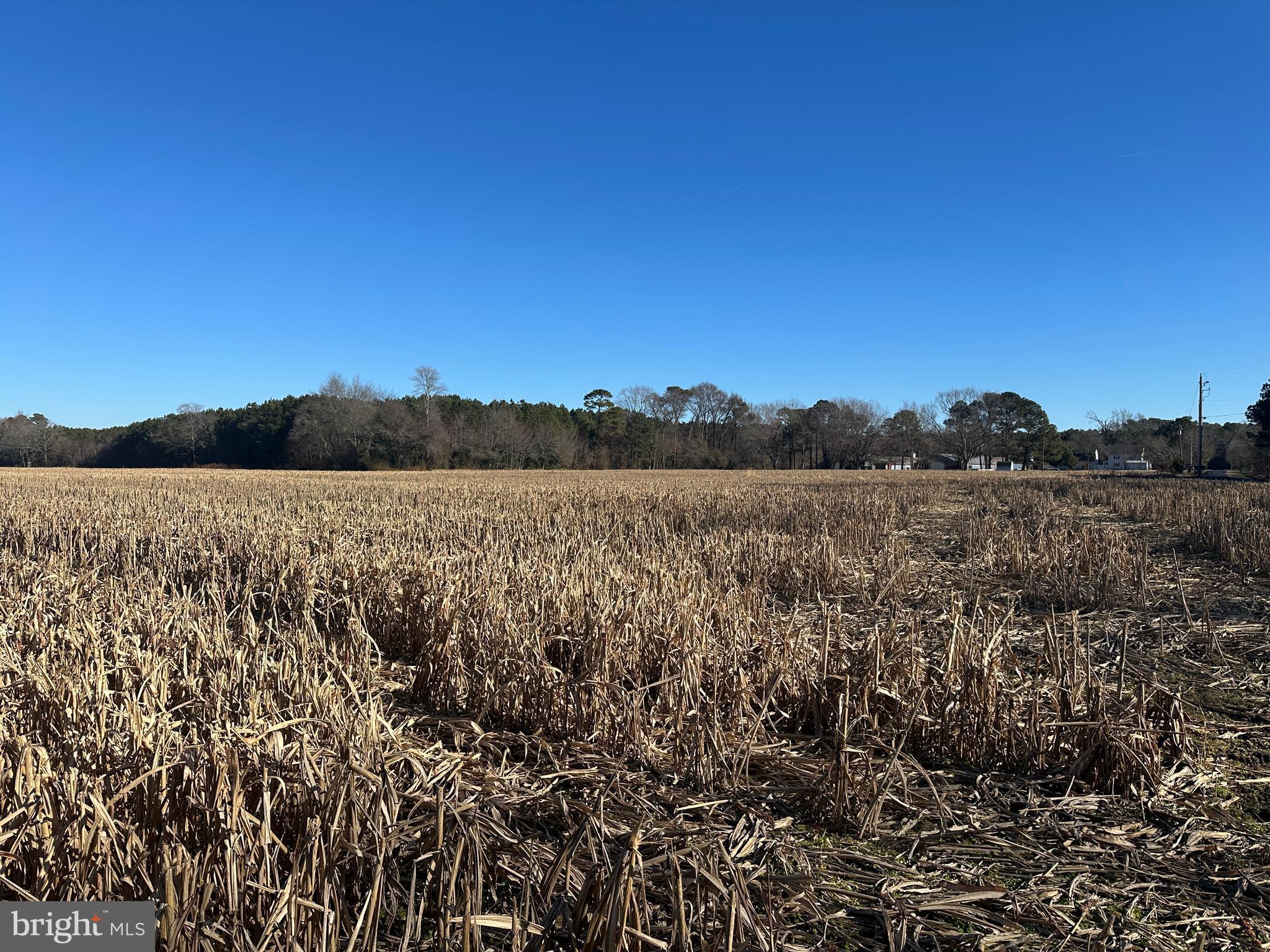 0 Bivalve Lodge Road Bivalve, MD 21814 - Photo 40 of 44