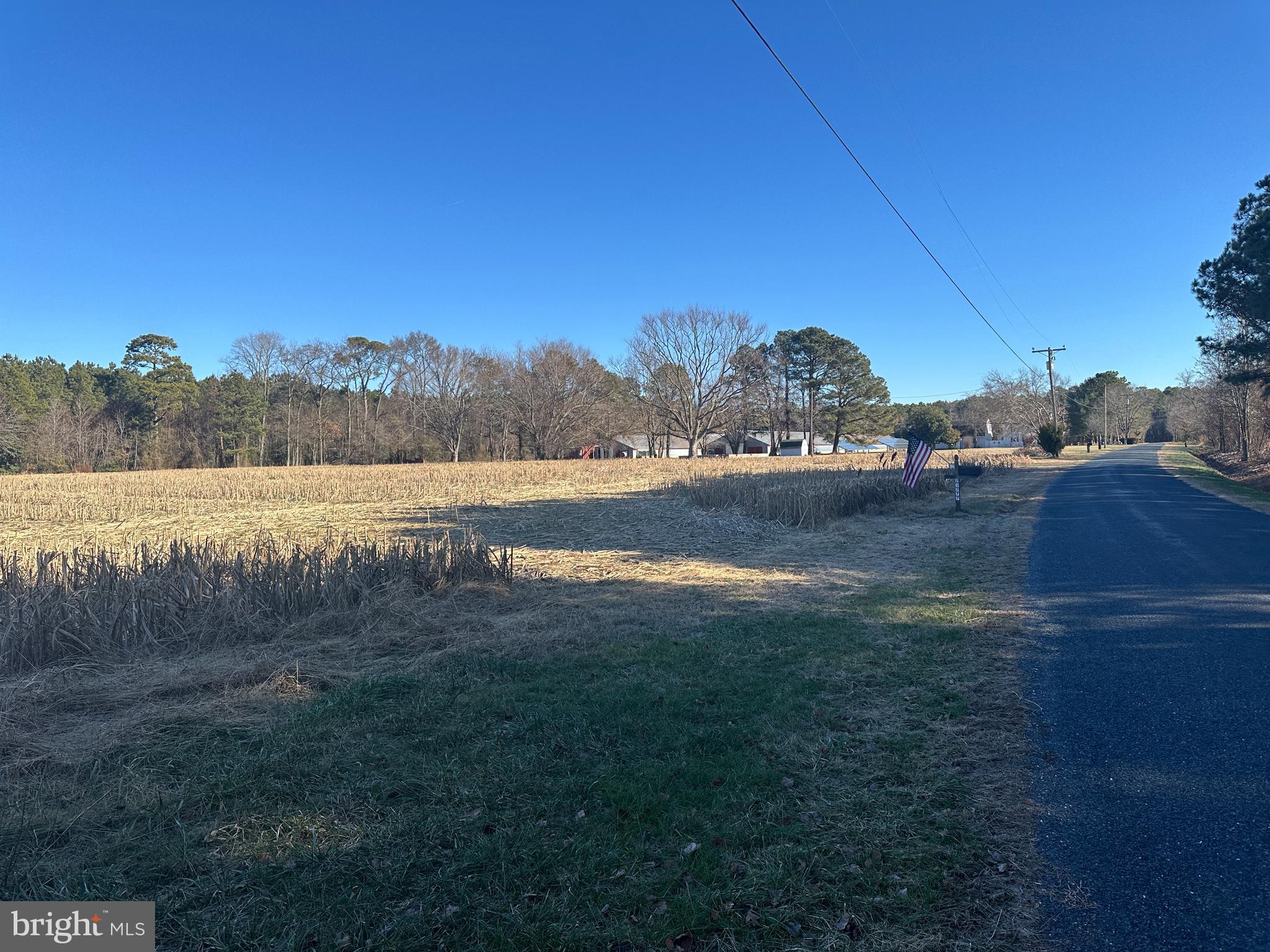 0 Bivalve Lodge Road Bivalve, MD 21814 - Photo 4 of 44