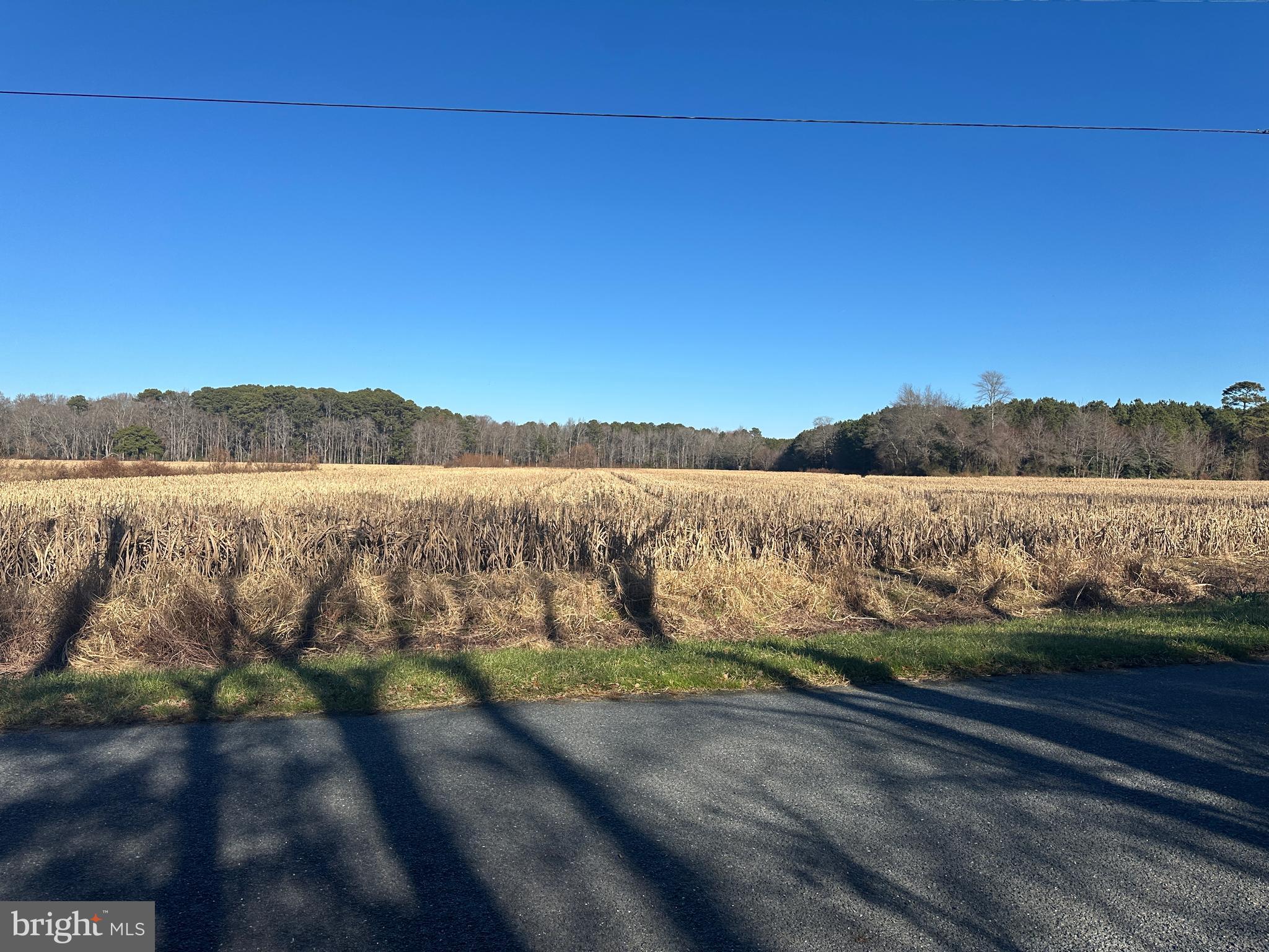 0 Bivalve Lodge Road Bivalve, MD 21814 - Photo 41 of 44