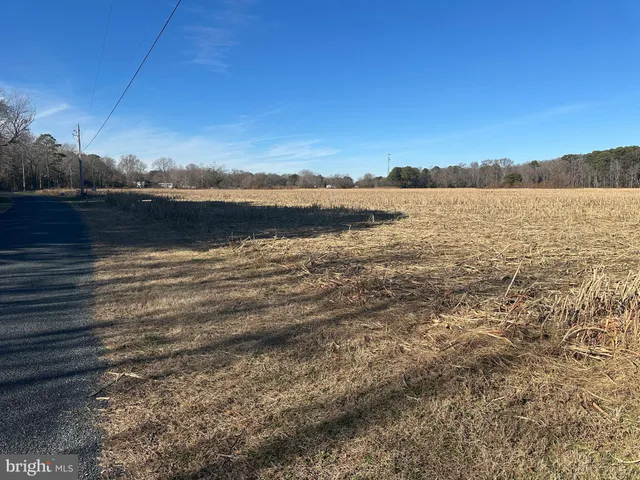 $149,000 | 0 Bivalve Lodge Road, Bivalve, MD 21814