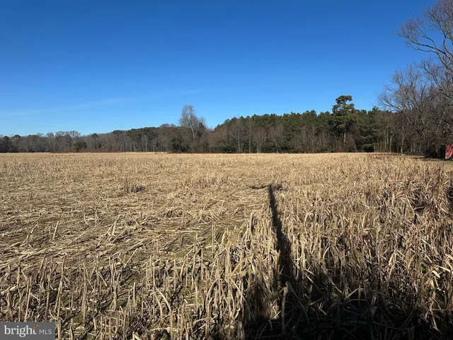 $149,000 | 0 Bivalve Lodge Road, Bivalve, MD 21814