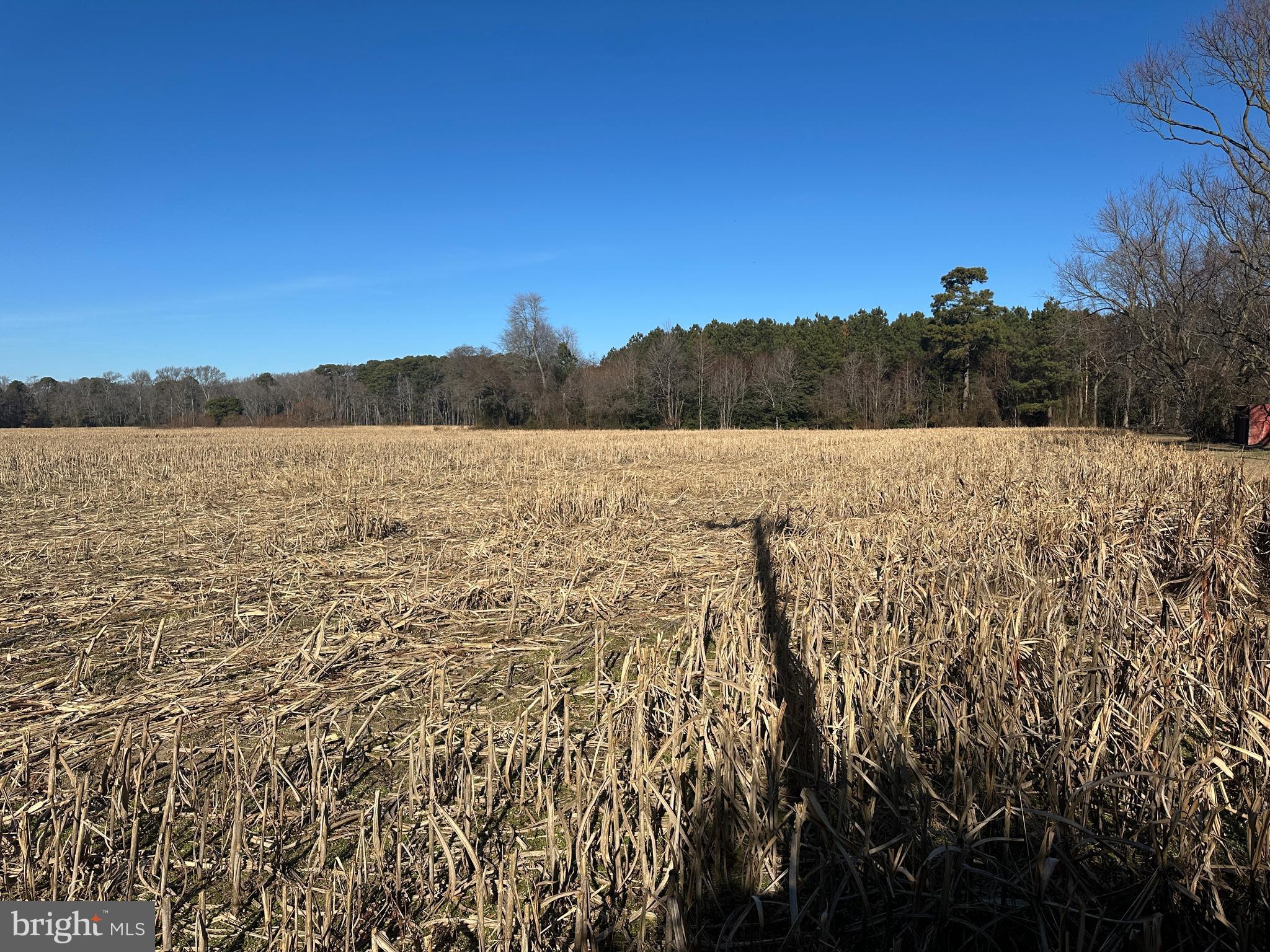 0 Bivalve Lodge Road Bivalve, MD 21814 - Photo 43 of 44