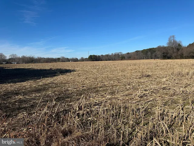 $149,000 | 0 Bivalve Lodge Road, Bivalve, MD 21814