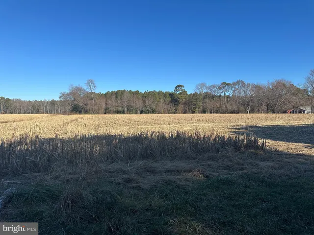 $149,000 | 0 Bivalve Lodge Road, Bivalve, MD 21814