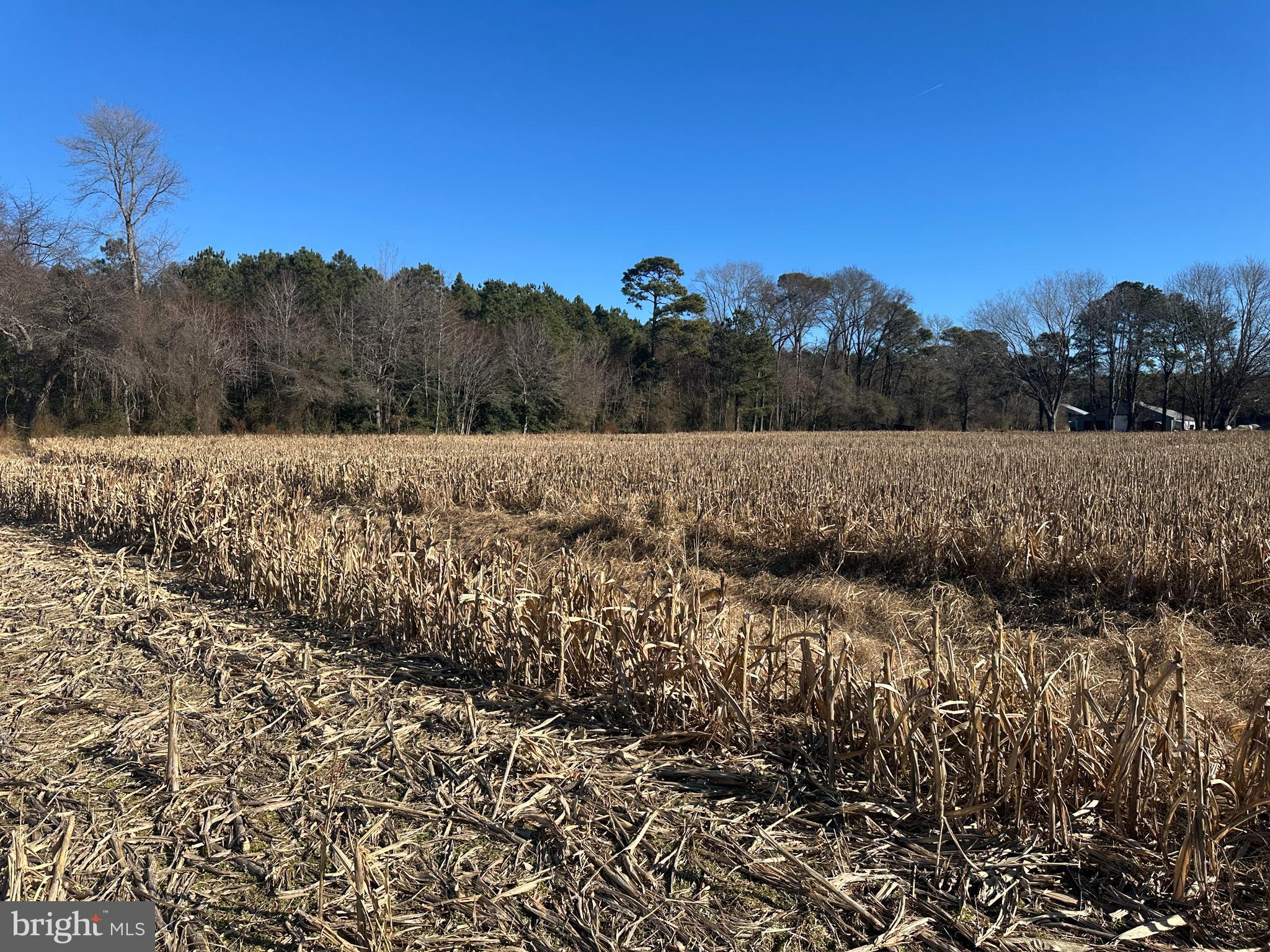 0 Bivalve Lodge Road Bivalve, MD 21814 - Photo 6 of 44