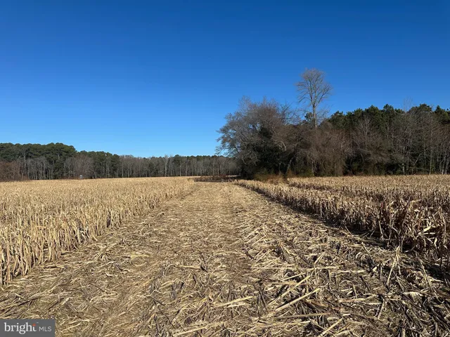 $149,000 | 0 Bivalve Lodge Road, Bivalve, MD 21814