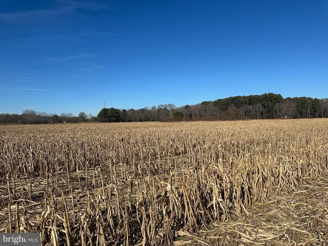 $149,000 | 0 Bivalve Lodge Road, Bivalve, MD 21814