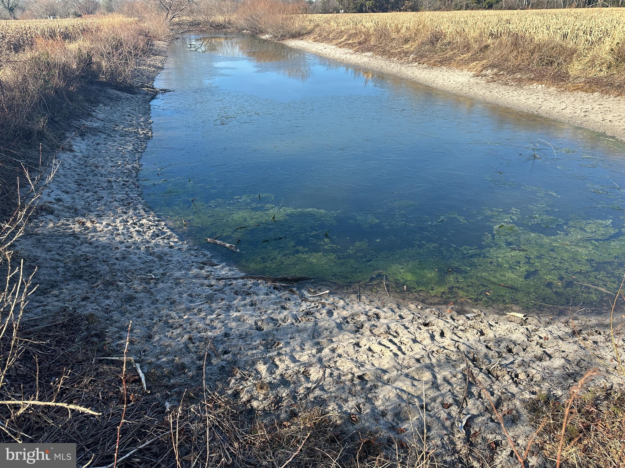 0 Bivalve Lodge Road Bivalve, MD 21814 - Photo 9 of 44