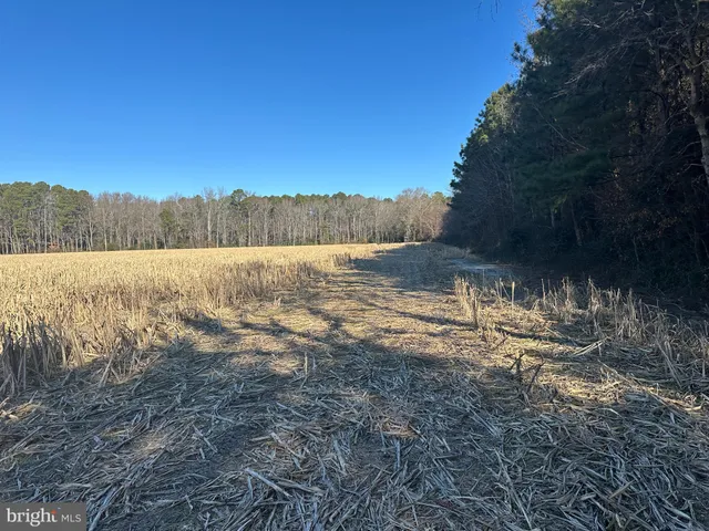 $149,000 | 0 Bivalve Lodge Road, Bivalve, MD 21814