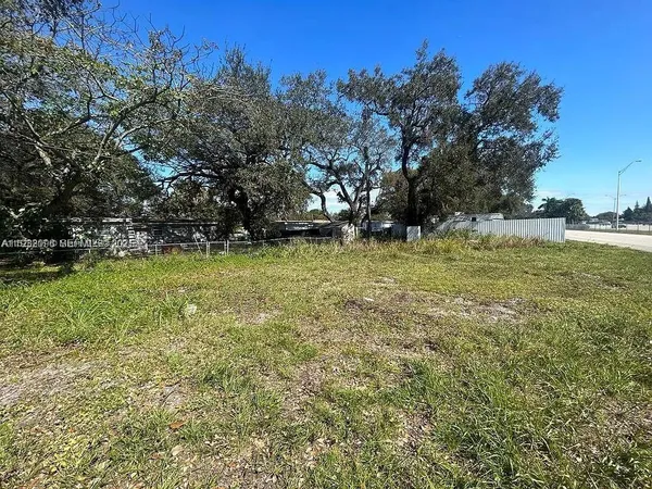 a view of a yard with large trees