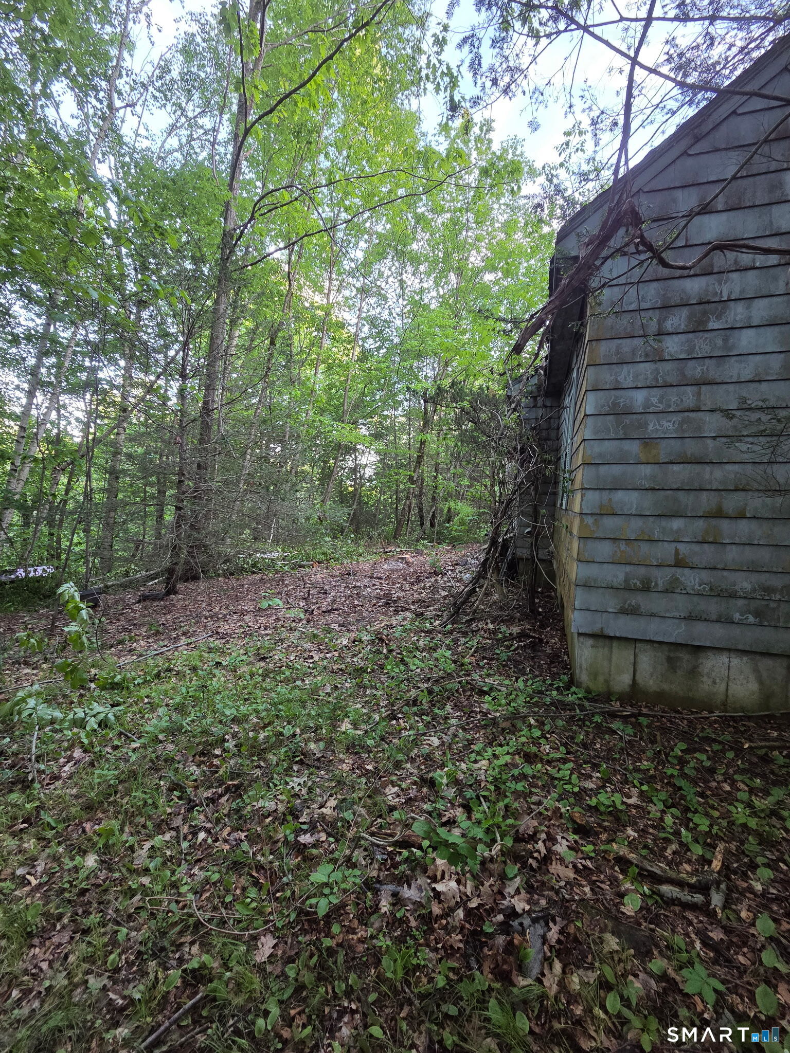 33 Davis Road Harwinton, CT 06791 - Photo 9 of 13 a backyard of a house with lots of green space