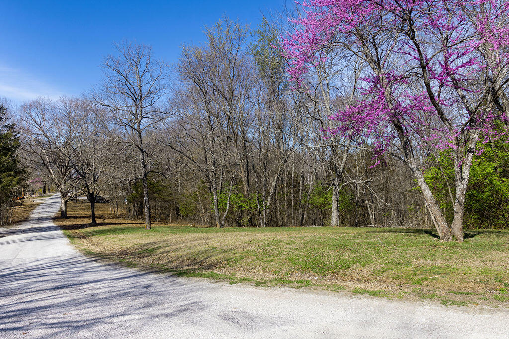 Lot 13-14 Ance Acres Lane Reeds Spring, MO 65737 - Photo 1 of 1 lot