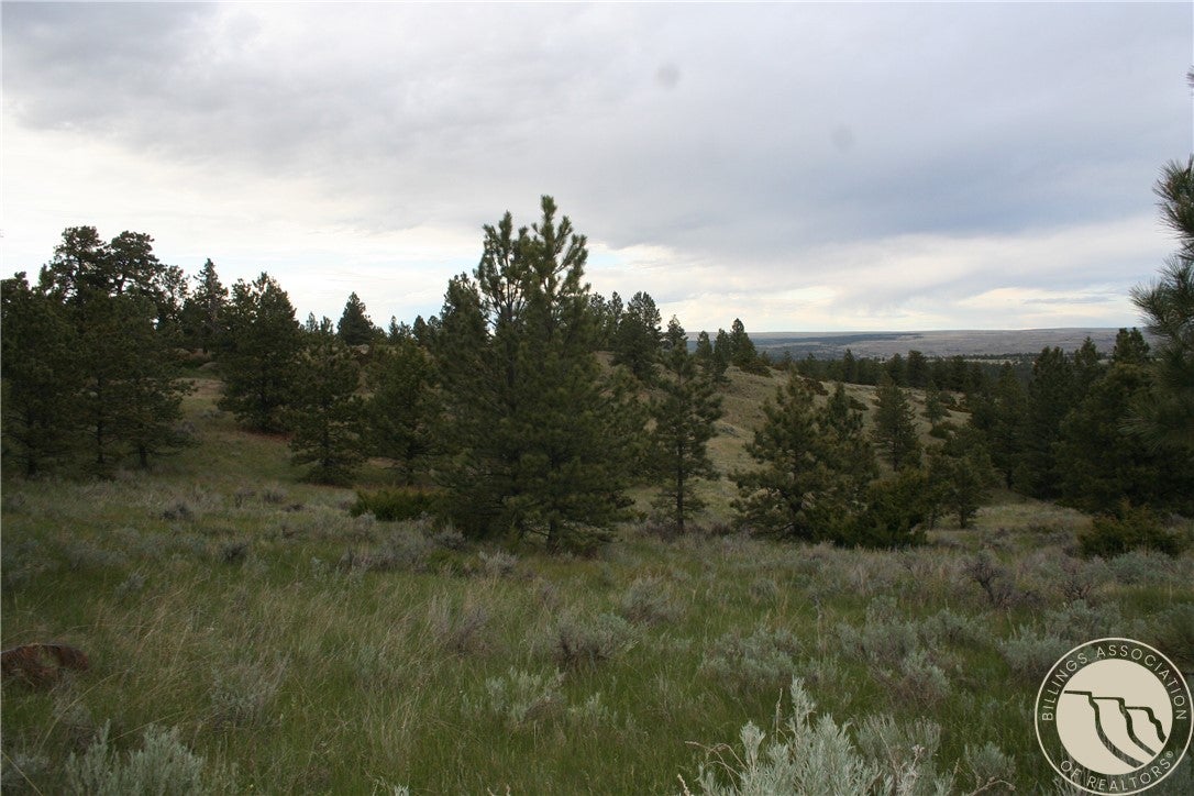 Lot 71 North Harrier Road Reed Point, MT 59069 - Photo 18 of 32 Gallery Image 18
