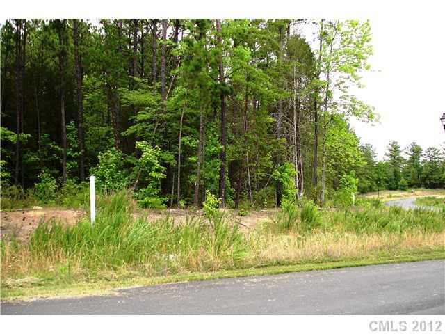 Lot 28 Morrison Road, Unit 28 York, SC 29745 - Photo 1 of 5 Gallery Image 1