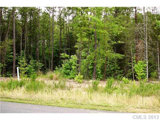 Lot 28 Morrison Road, Unit 28 York, SC 29745 - Photo 2 of 5 Gallery Image 2