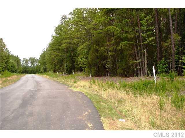 Lot 28 Morrison Road, Unit 28 York, SC 29745 - Photo 3 of 5 Gallery Image 3