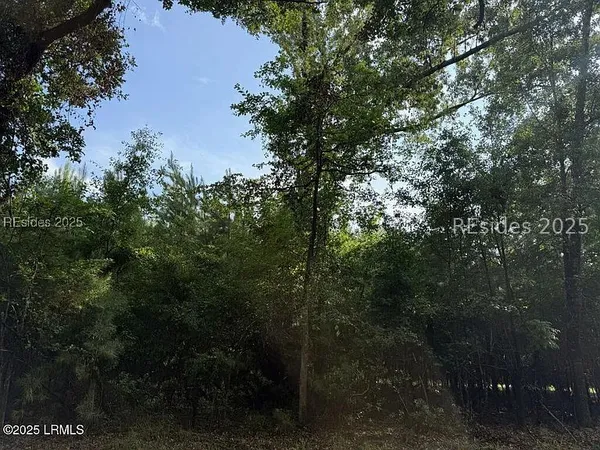 $76,900 | 12 Bellinger Lake Drive, Seabrook, SC 29940
