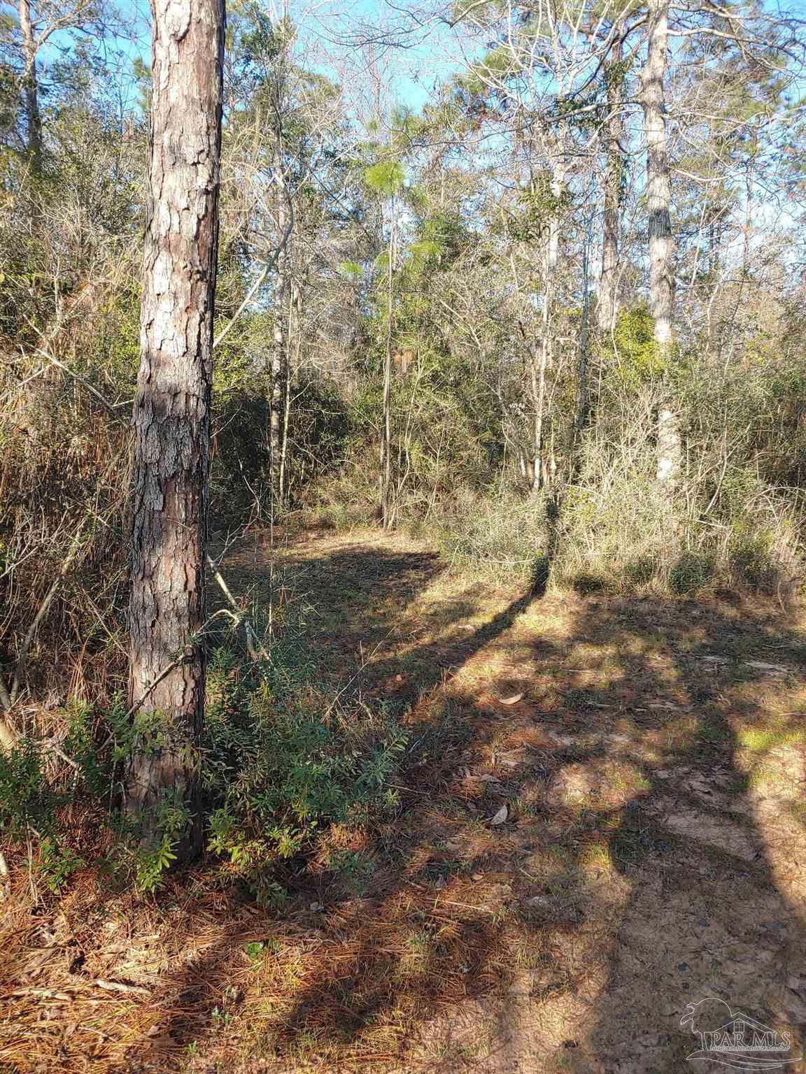 4874 Seely Road Molino, FL 32577 - Photo 2 of 10 a view of a yard with a tree