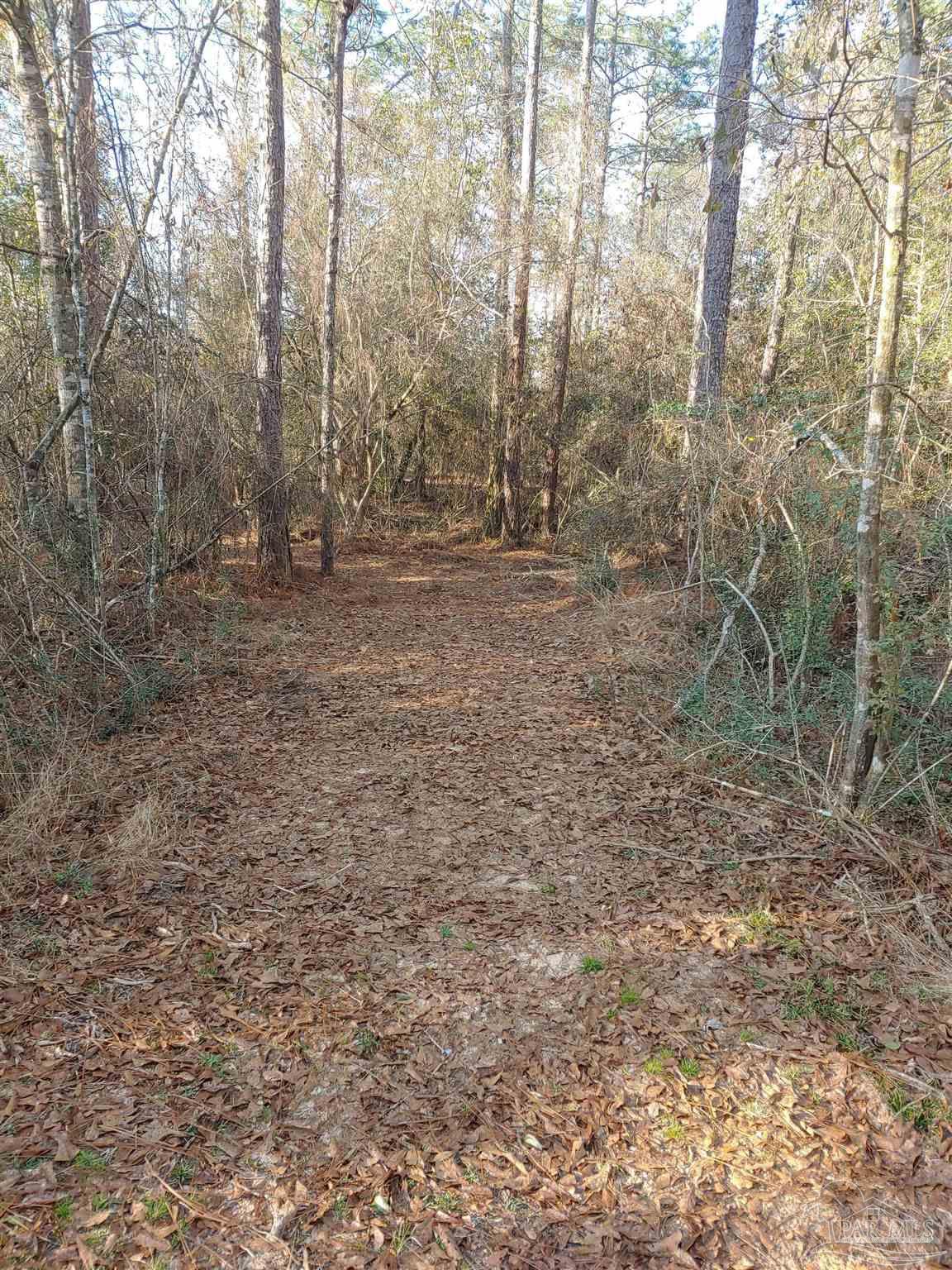 4874 Seely Road Molino, FL 32577 - Photo 3 of 10 a view of outdoor space and green space