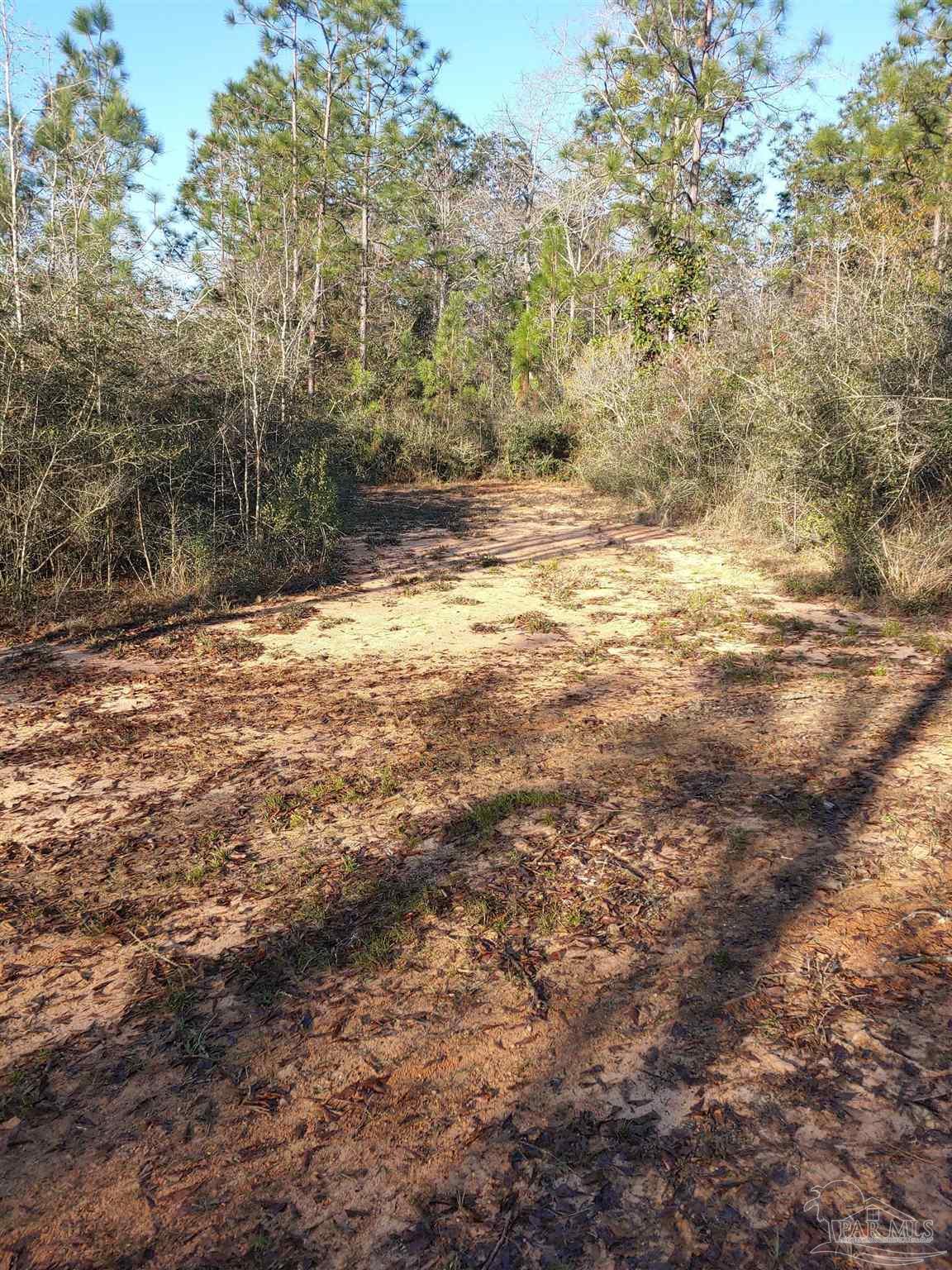 4874 Seely Road Molino, FL 32577 - Photo 7 of 10 a view of a yard with a tree