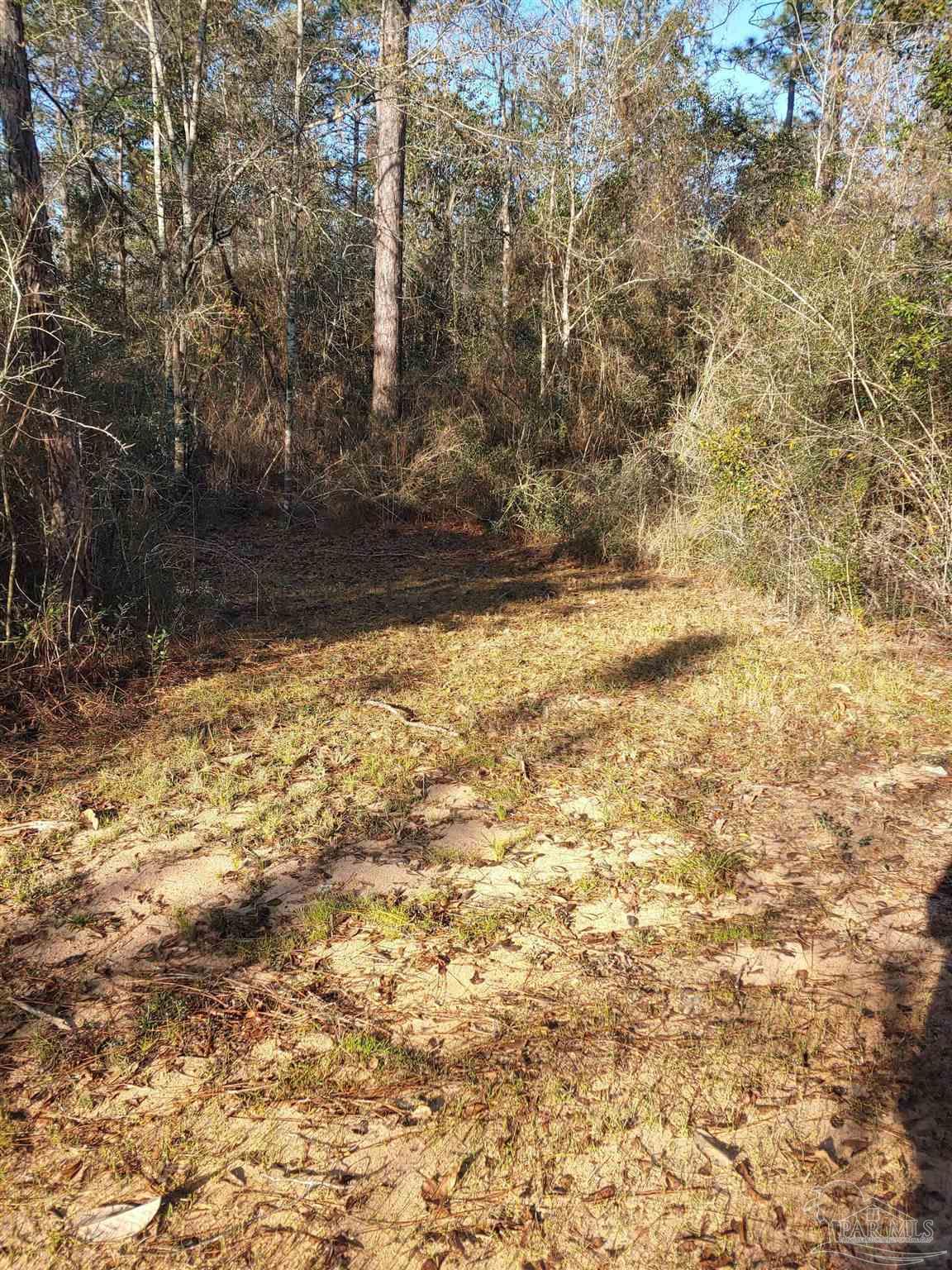 4874 Seely Road Molino, FL 32577 - Photo 10 of 10 a view of a yard