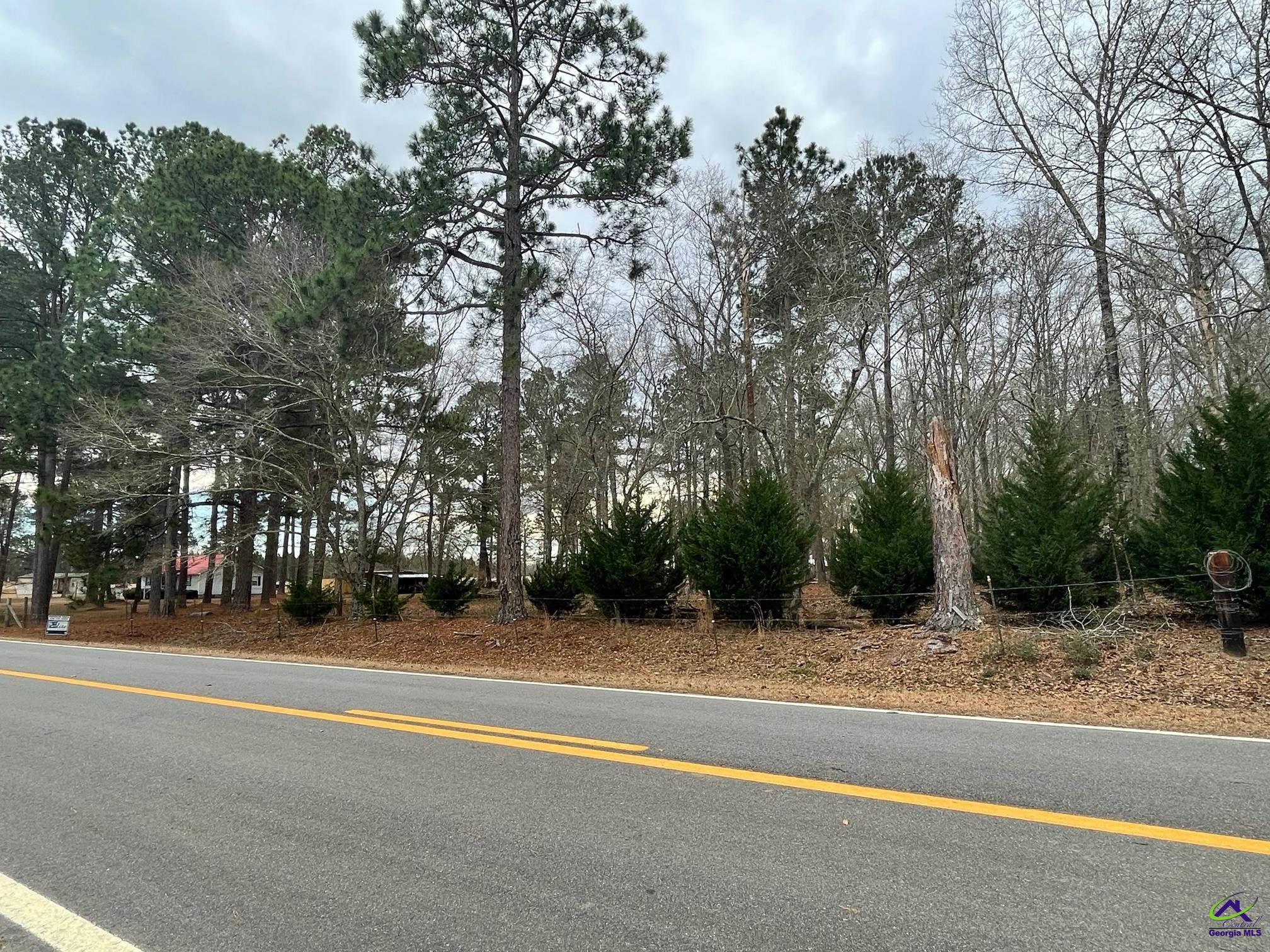 Bates Road Cochran, GA 31014 - Photo 11 of 11