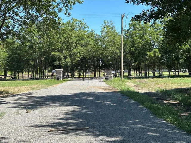 a view of a yard with plants and trees