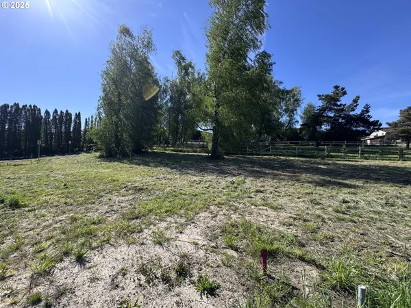 a view of a yard with a tree