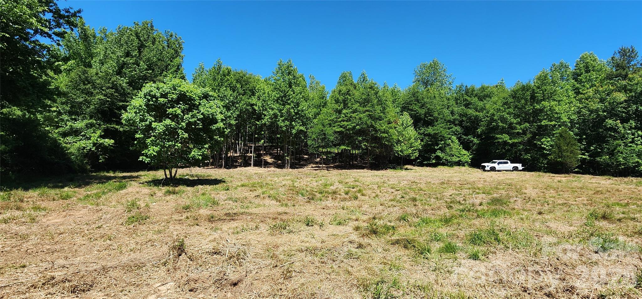 480 Brown Road Spartanburg, SC 29302 - Photo 4 of 47 a view of a yard with trees